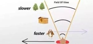 Best Long Range Rifle scope FOV