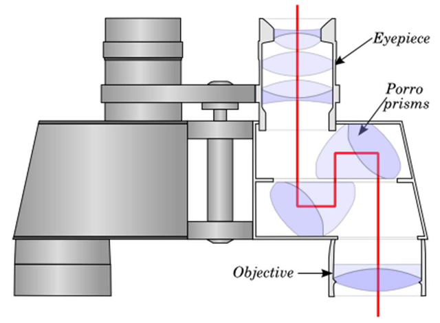 Binocular Features