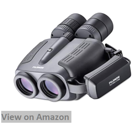 Best Image Stabilization Binoculars