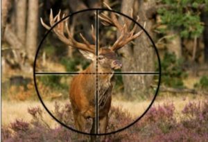 elk hunting scope