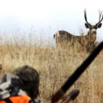 Deer Hunting Tips For Beginners