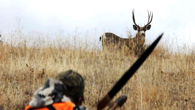 Deer Hunting Tips For Beginners