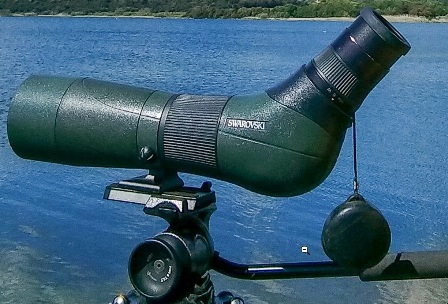 Best Swarovski Rifle Scopes Reviews