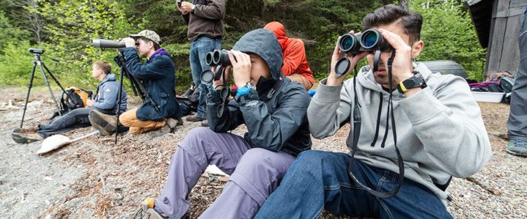 The Best Binoculars under $200 Reviews in 2023