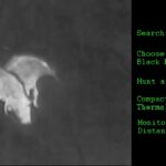 Thermal Monocular Makes Animals Glow in the Dark