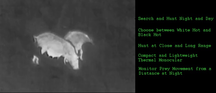 Thermal Monocular Makes Animals Glow in the Dark