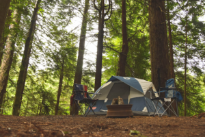 Ultimate Campsite Security: Early Warning System