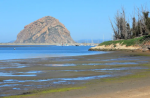 Morro Bay State Park