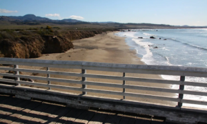 Hearst San Simeon State Park