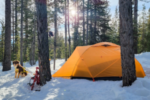 What type of tents to opt for? Four-season tents