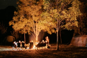Camping With Friends: Build a campfire