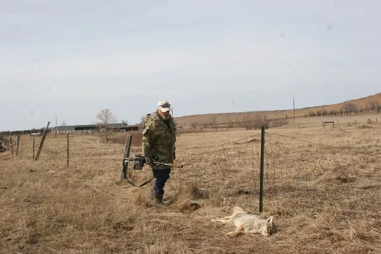 Understanding the Coyote Hunting Environment  when choose the best scopes for coyote hunting