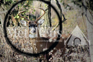 best scope for elk hunting