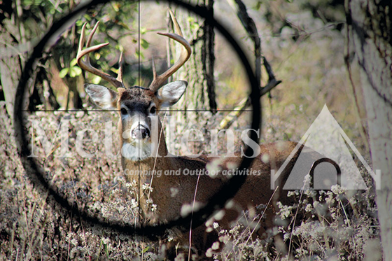 the Importance of a High-quality Scope for Elk Hunting